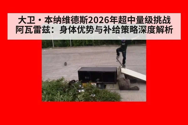 大卫·本纳维德斯2026年超中量级挑战阿瓦雷兹：身体优势与补给策略深度解析